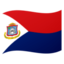 🇸🇽